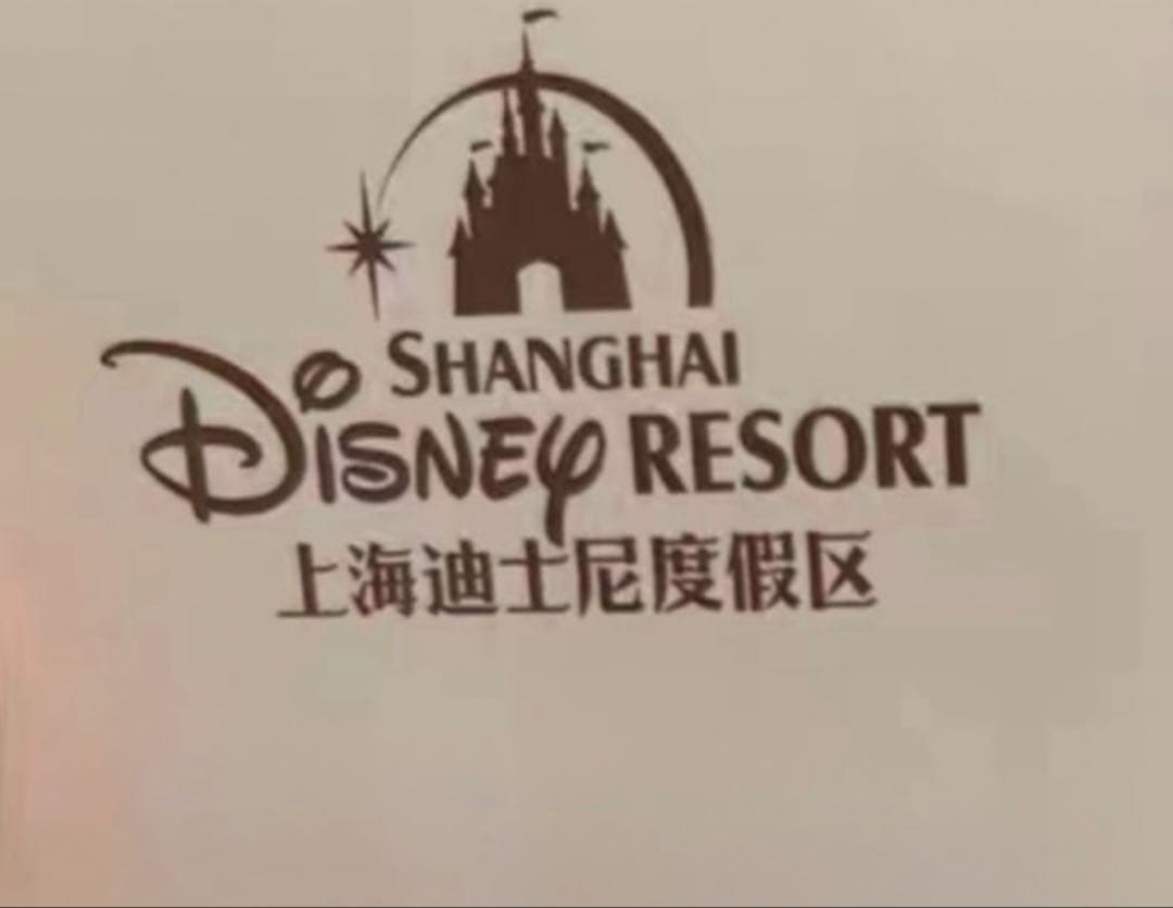 専用　9176 上海ディズニー　リラックス2.0 ダッフィー　ぬいぐるみSS