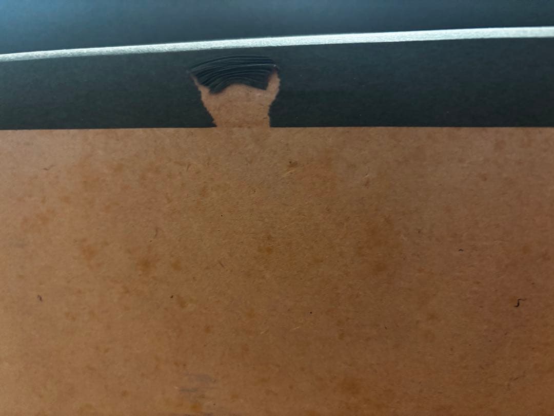 ラッセン エンチャンテッドエンカウンター(L) ディズニー 直筆サイン入り