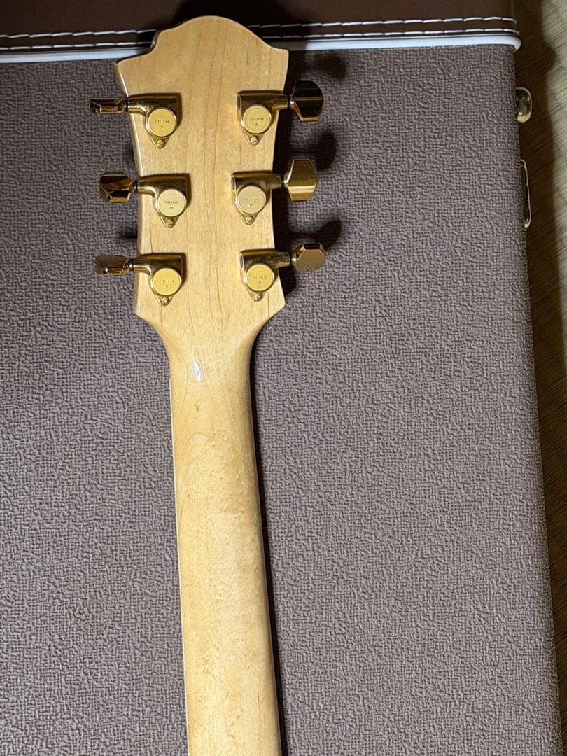 ギター hide MG80X FERNANDES