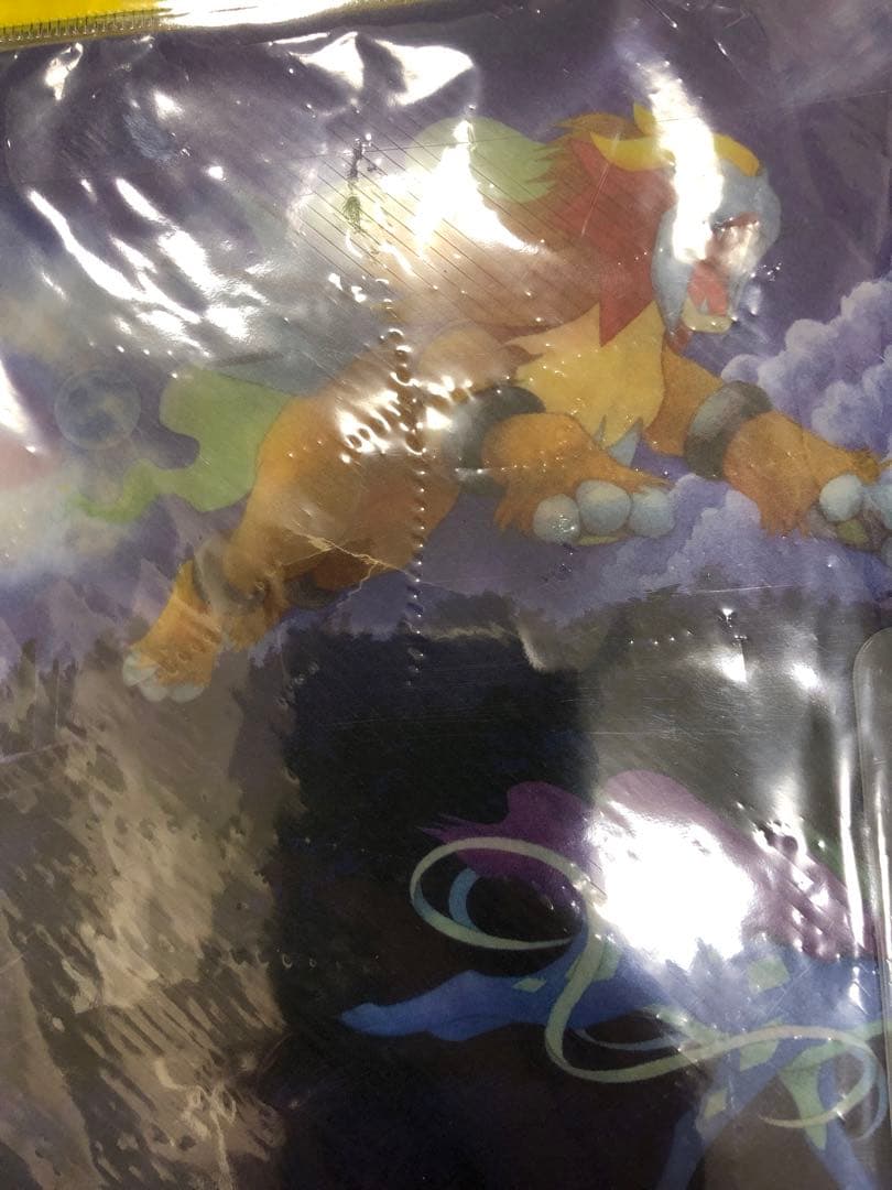 ポケモンカードゲーム 旧裏 プレミアムファイル3 未開封品