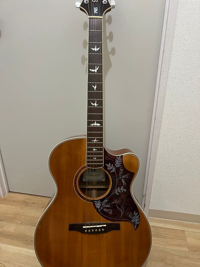 Paul Reed Smith SE Angelus Standard　エレアコ