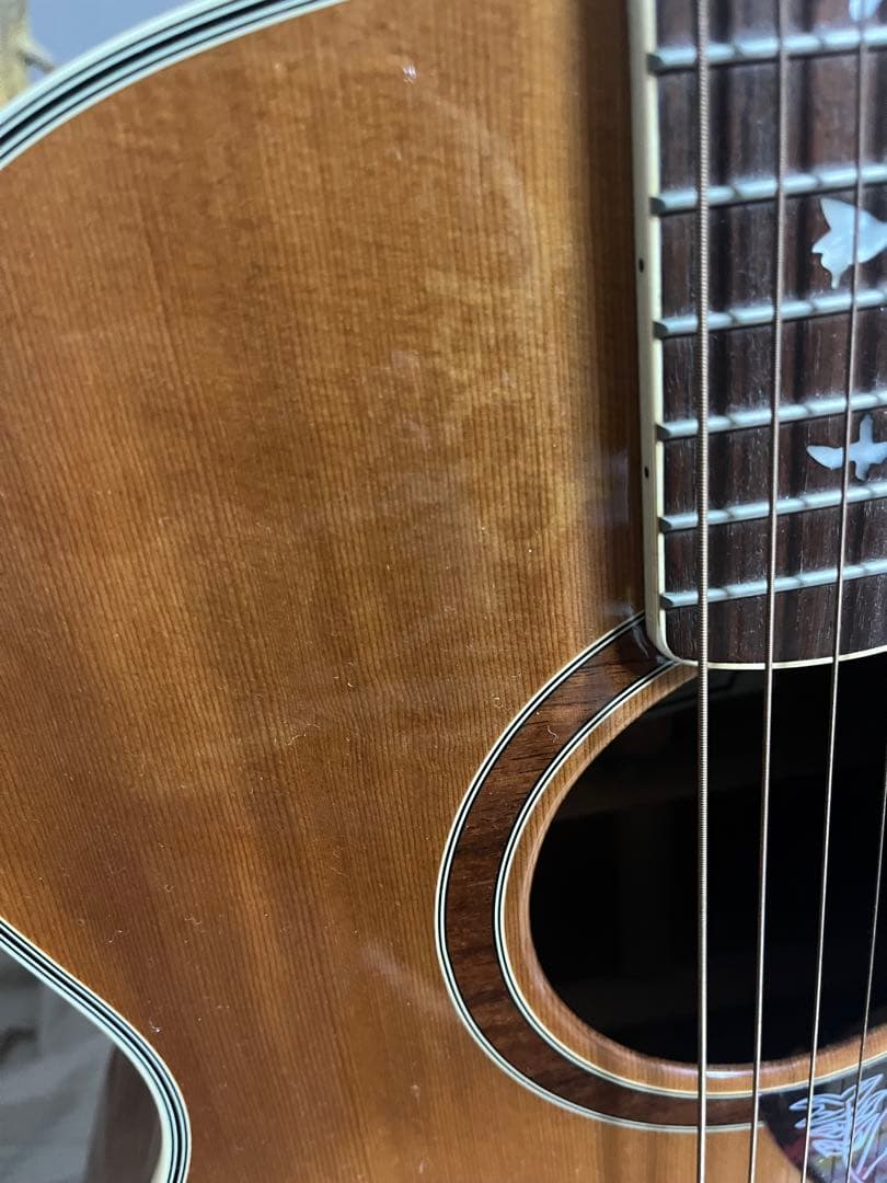 Paul Reed Smith SE Angelus Standard　エレアコ