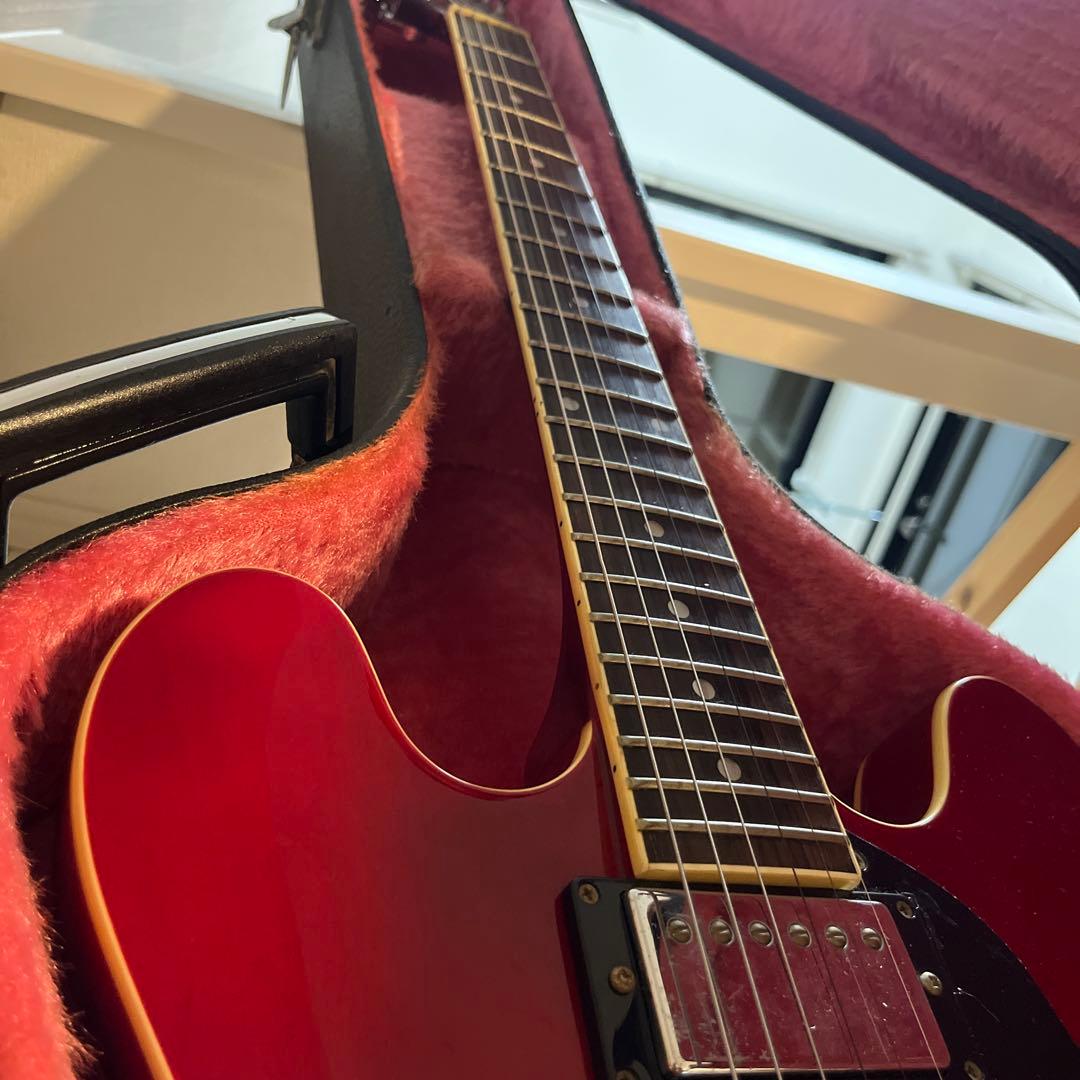 Blitz by ariapro セミアコ 335タイプ GIBSONヘッド