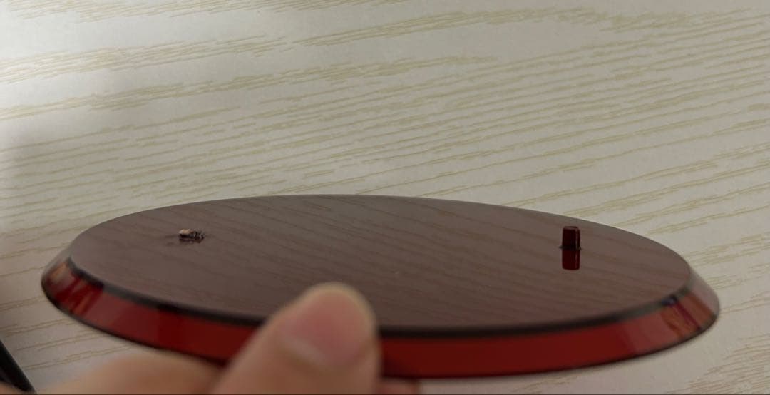 ペルソナ３ 桐条 美鶴 1/8 完成 フィギュア