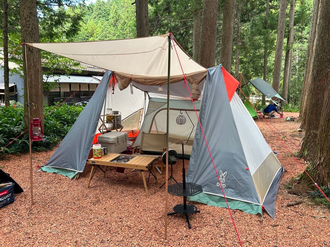 DOD エコソウルイェイイェイ