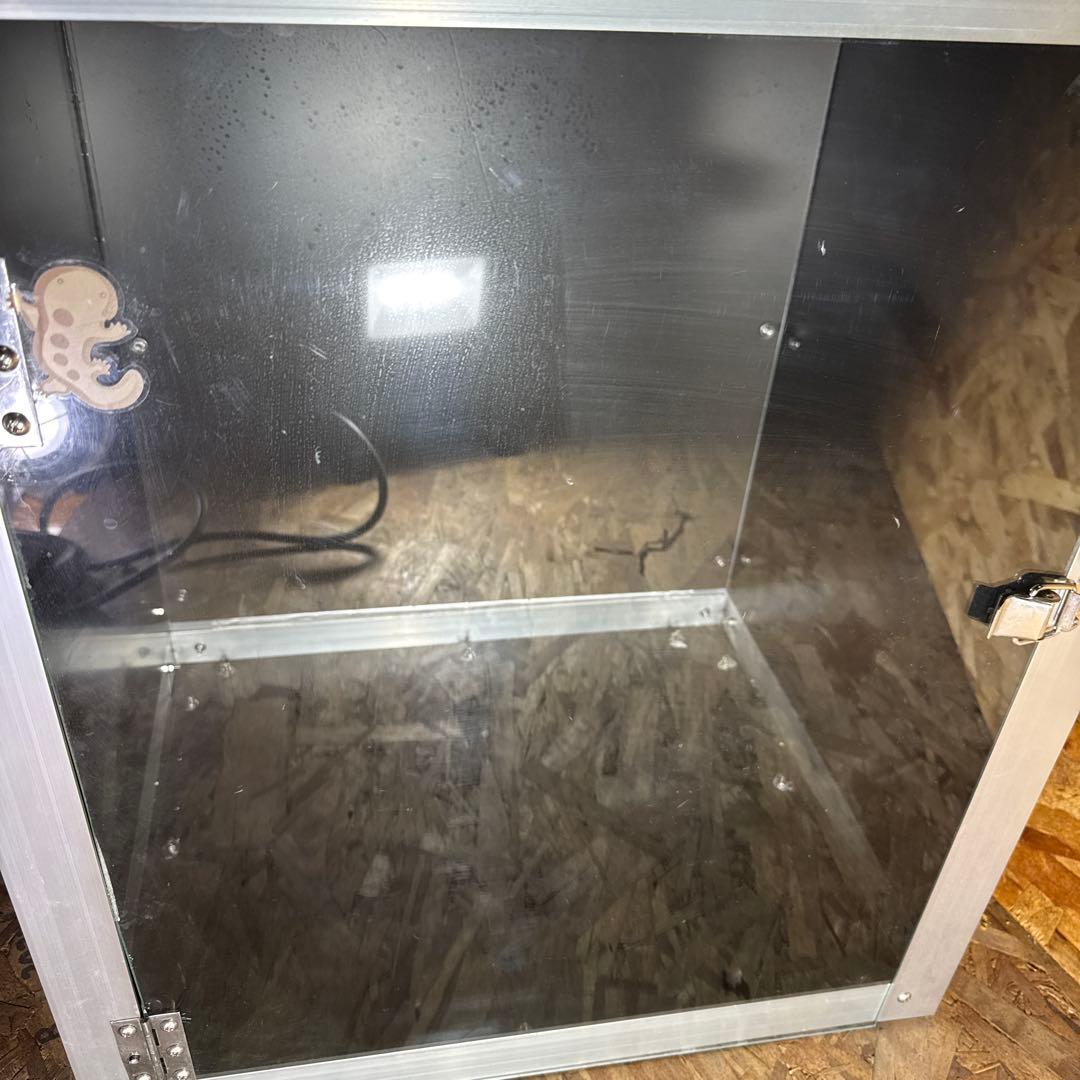 カメレオン、爬虫類飼育用ショーケース