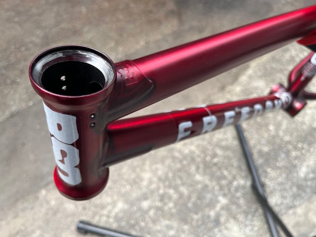 BMX フレーム BSD Freedom Frame 20.5