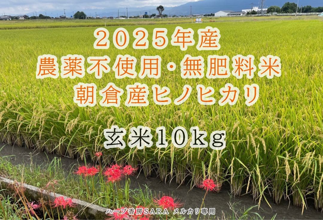 2025年産！九州・福岡県朝倉市産ヒノヒカリ玄米10キロ(農薬不使用・無肥料米)