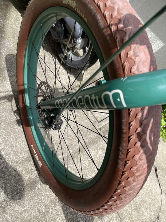 自転車本体 Momentum