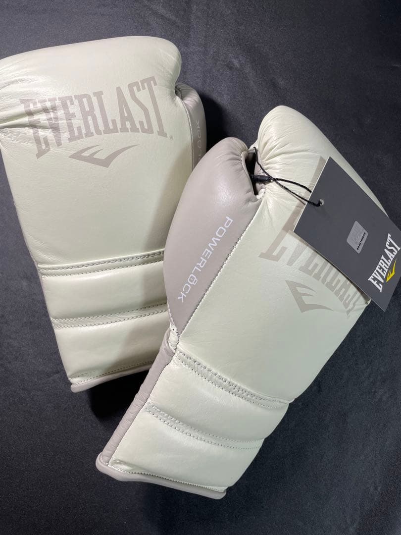 エバーラストパワーロック2プロファイトグローブ