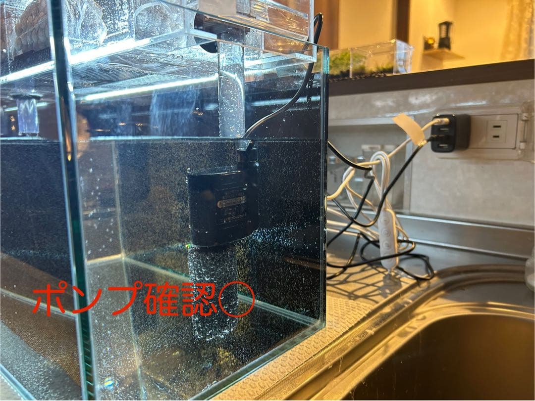 まりもアクリル水槽