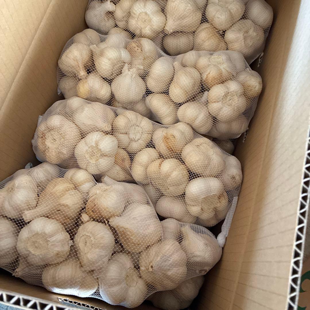 新物　青森県にんにく10Kg S