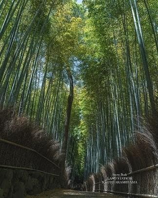 新品未使用嵐山限定スノーピーク スタッキングマグ 雪峰 H450&H300セット