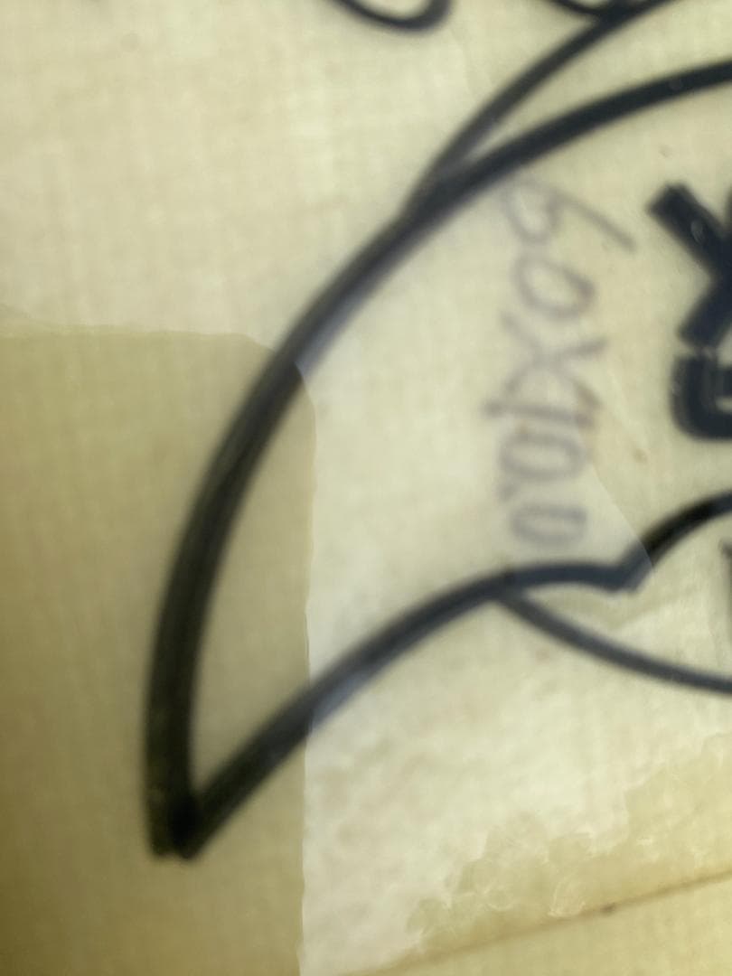 スペシャライズオーダー ロングボード １０