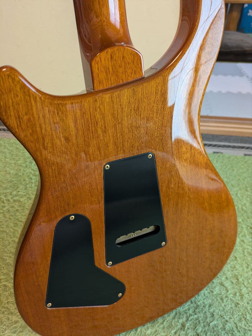 PRS Custom 24 カスタム多数