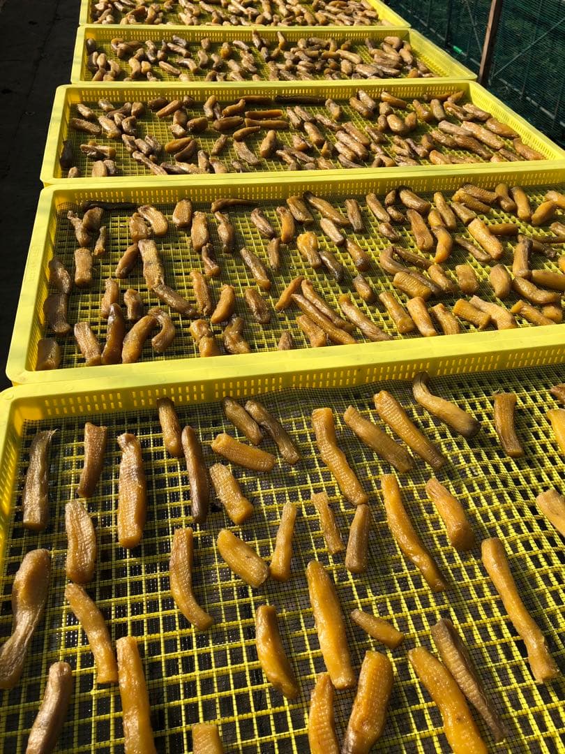 木小屋の干し芋ほしいも　紅はるか　熟成丸干し6k 完全天日干し