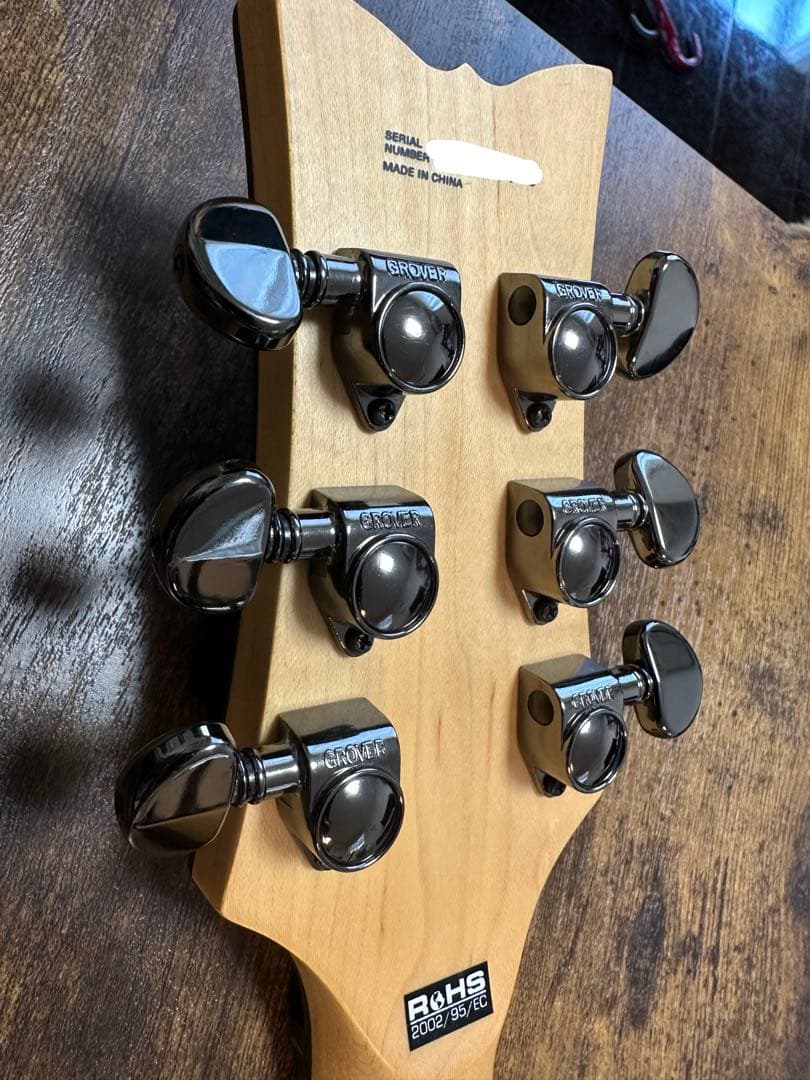 Daisy Rock エレキギター　ソフトケース付