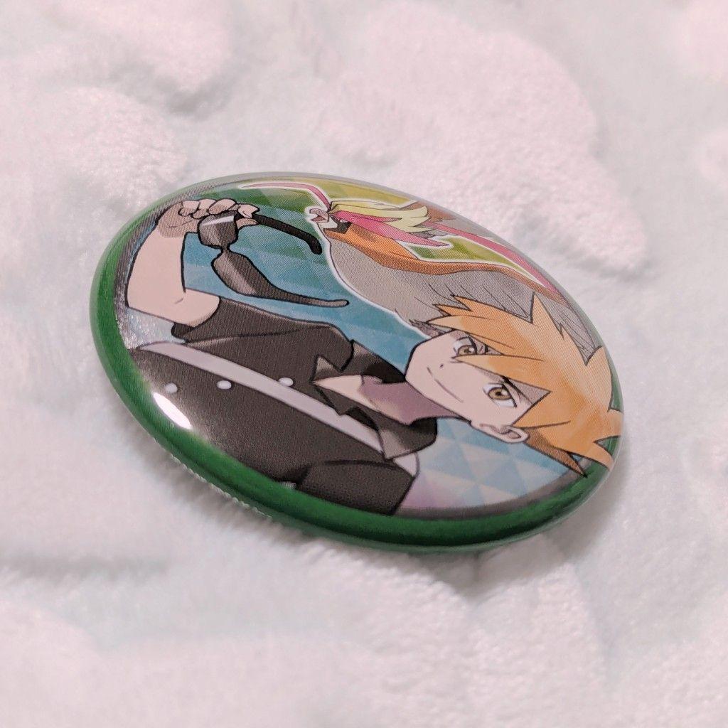 ポケモン 缶バッジ 【グリーン&メガピジョット】