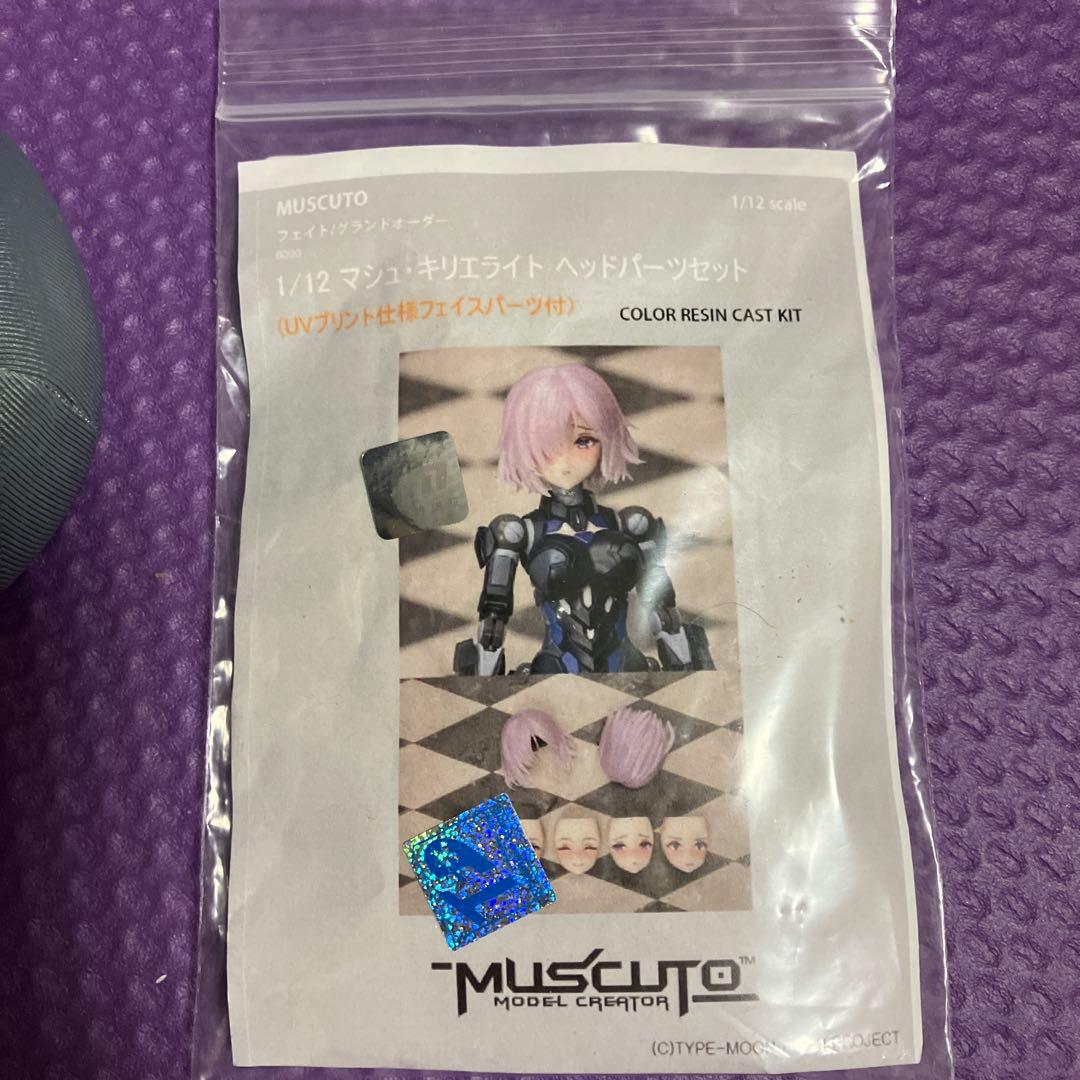 muscuto髪、フェイスパーツ　トルソー付き