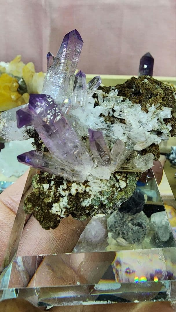 ベラクルス産アメジスト クラスター（母岩付き）