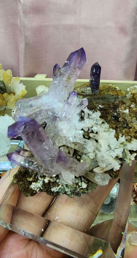 ベラクルス産アメジスト クラスター（母岩付き）