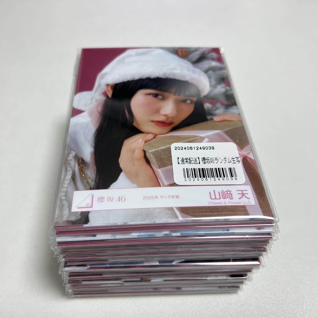 櫻坂 生写真 251枚 まとめ売り