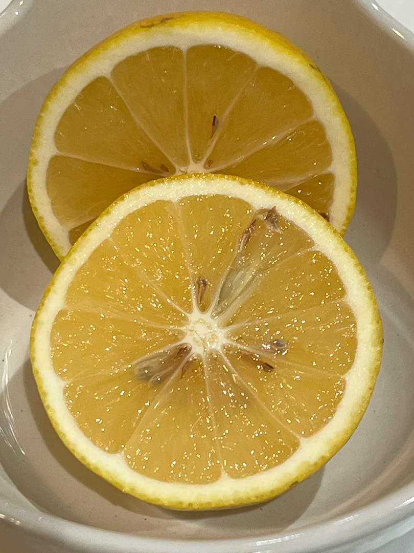 日向夏　家庭用　20キロ お買い得‼️