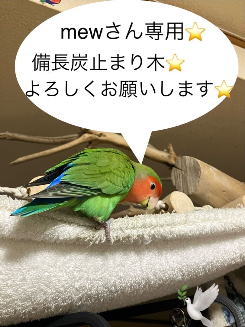 備長炭止まり木⭐️止まり木⭐️パーチ⭐️専用です♪(*゜∀゜*)