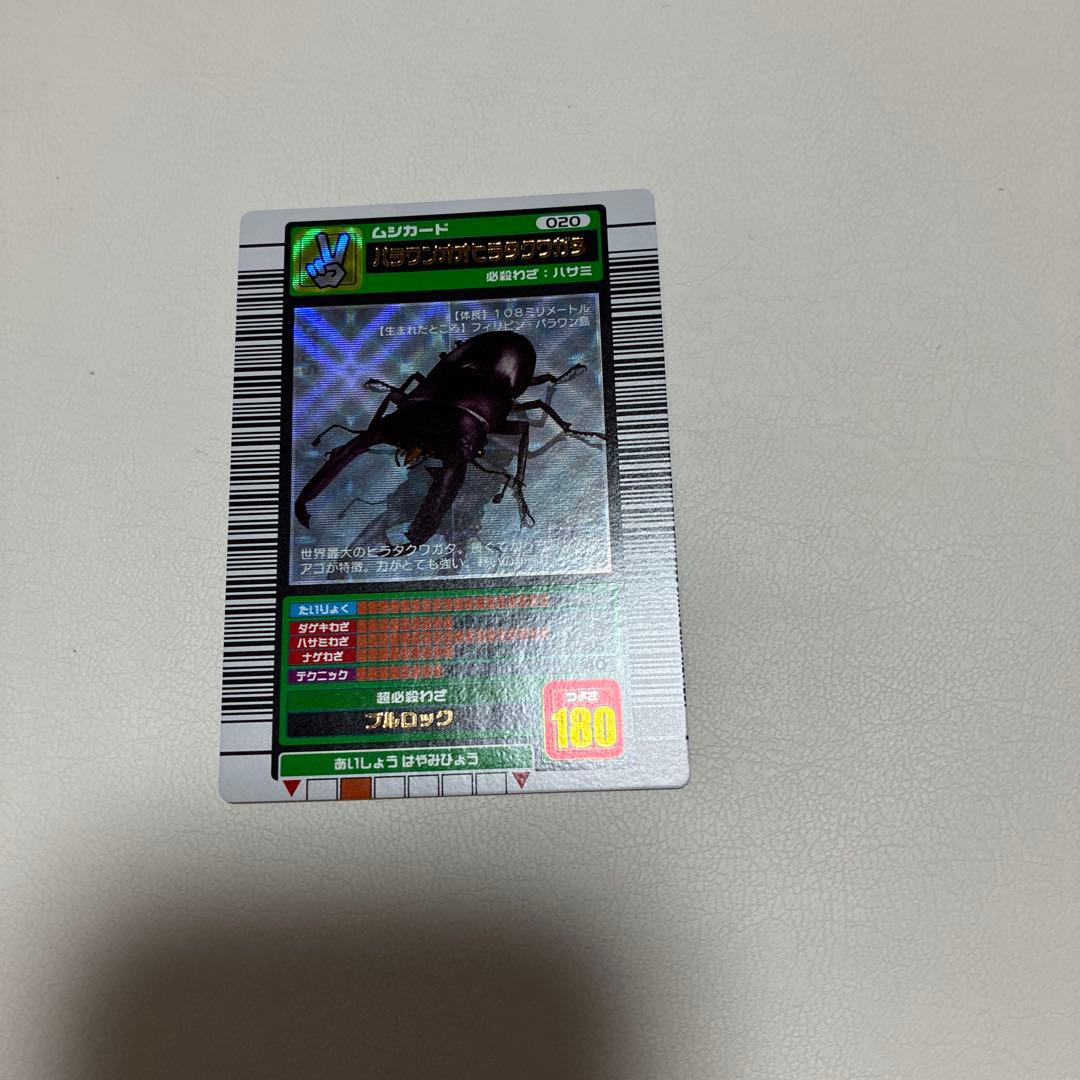 パラワンオオヒラタクワガタ