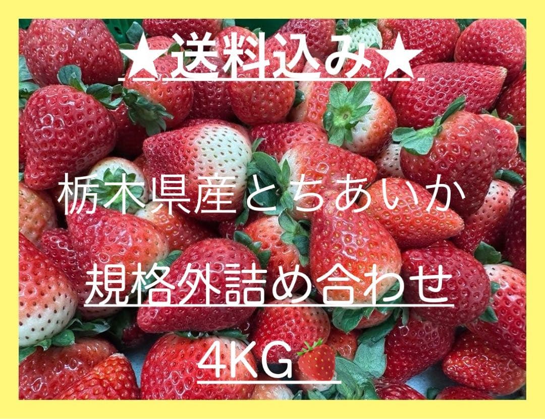 ⭐︎いちご農家より直送！とちあいか　規格外詰め合わせ　4kg 送料込⭐︎ No.11