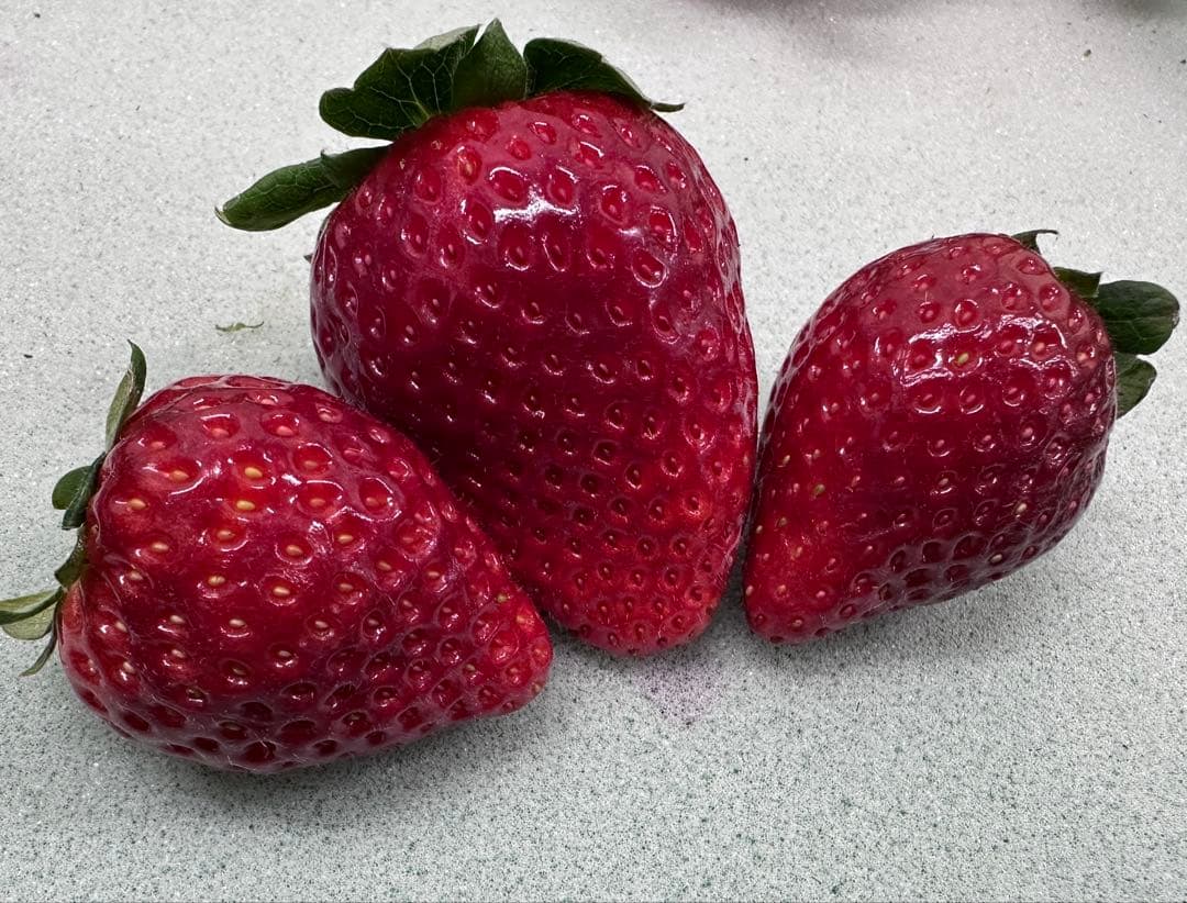 ⭐︎いちご農家より直送！とちあいか　規格外詰め合わせ　4kg 送料込⭐︎ No.11