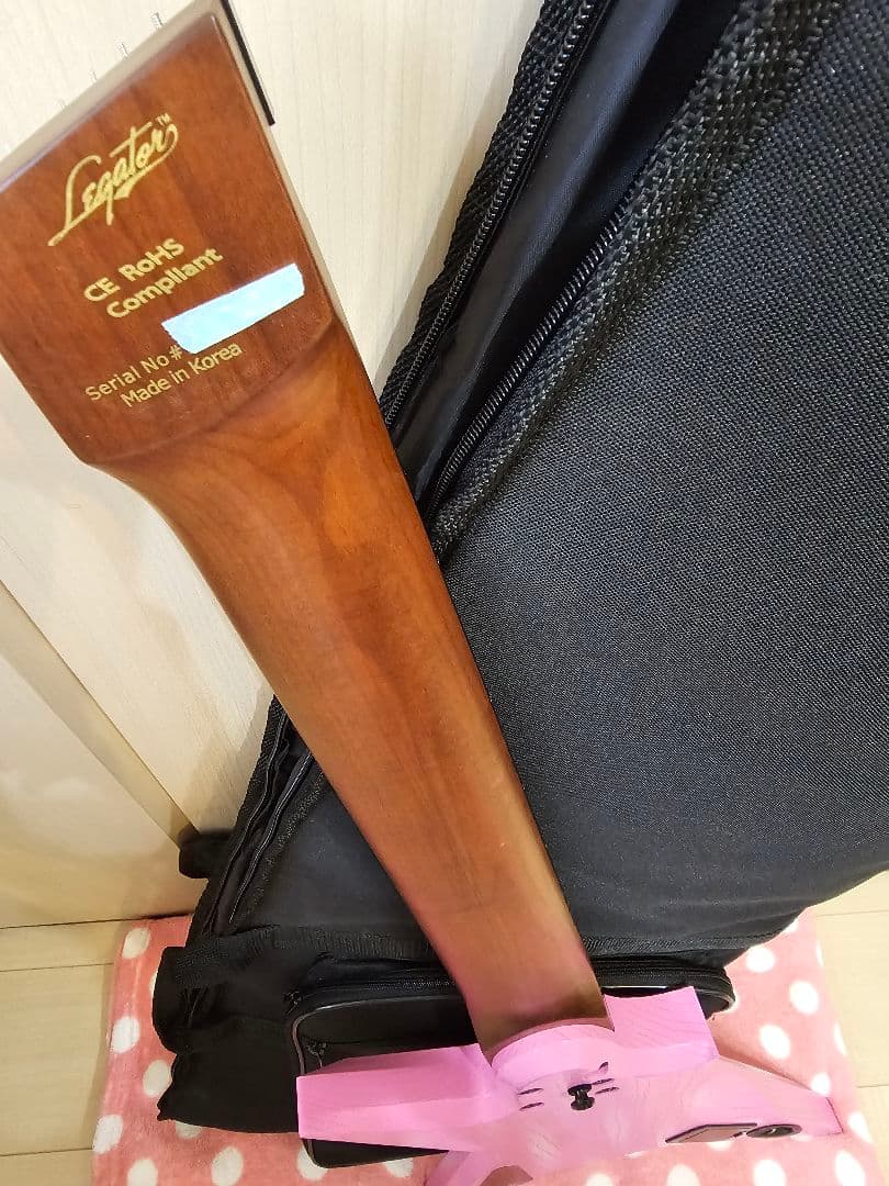 MAY　極美品 legator spectre 8