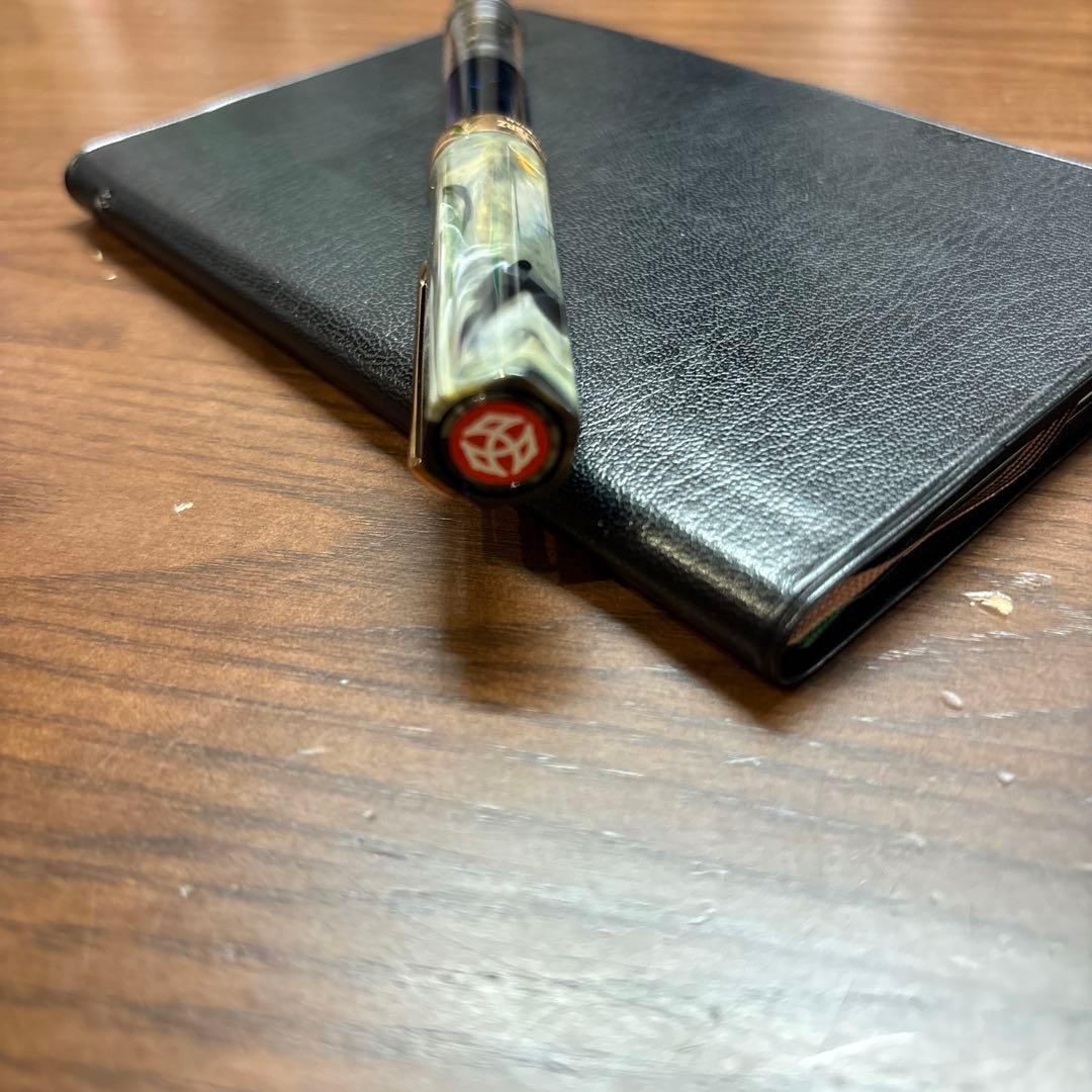 万年筆 TWSBI ツイスビー ECO エコ サーペンタイン with/BF細字