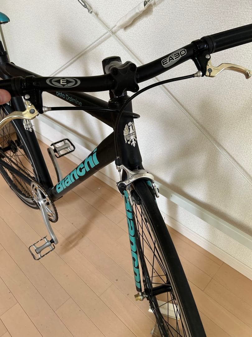 BIANCHI PISTA DALMINE ビアンキ　ピスタ　ダルミネ