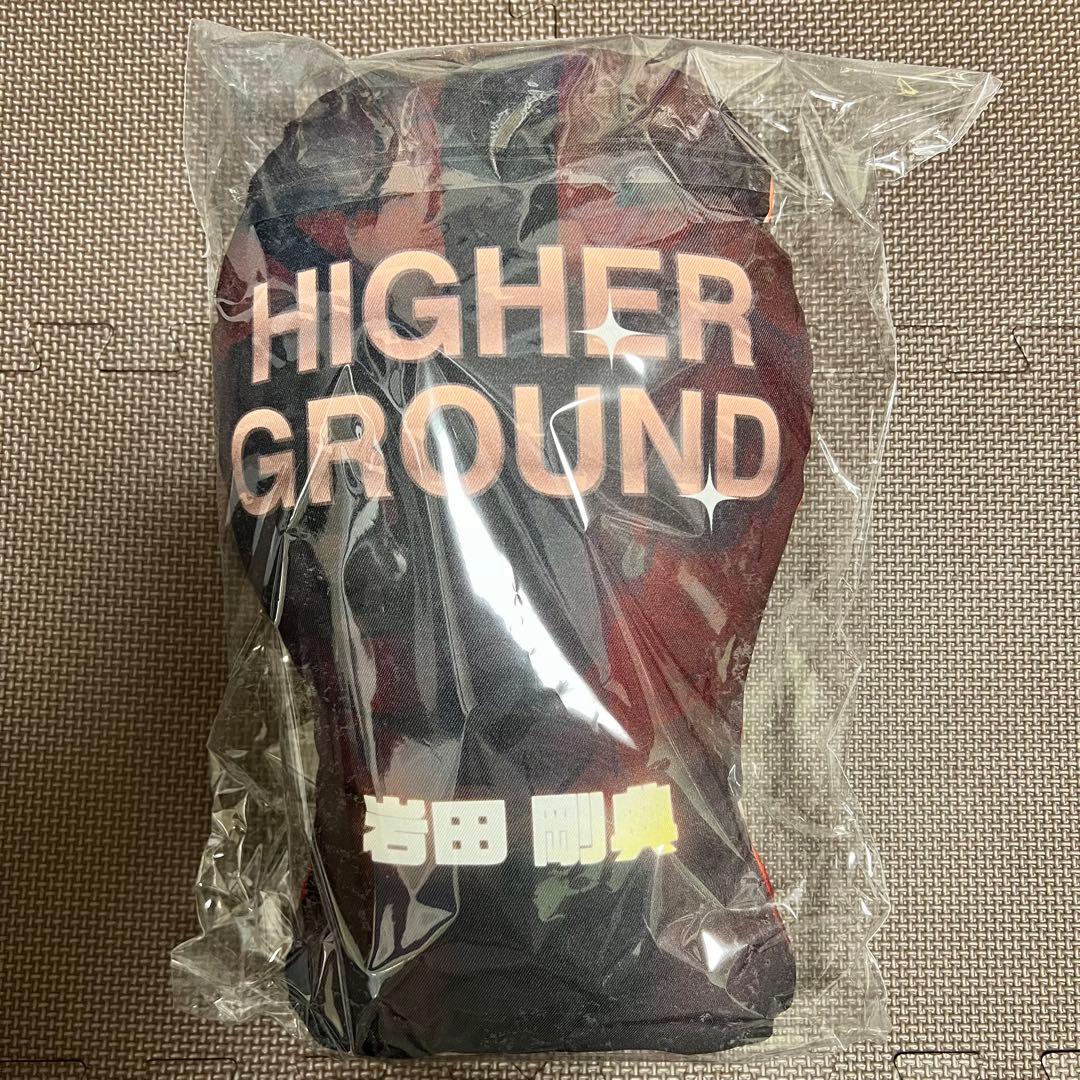岩田剛典【HIGHER GROUND】クッション