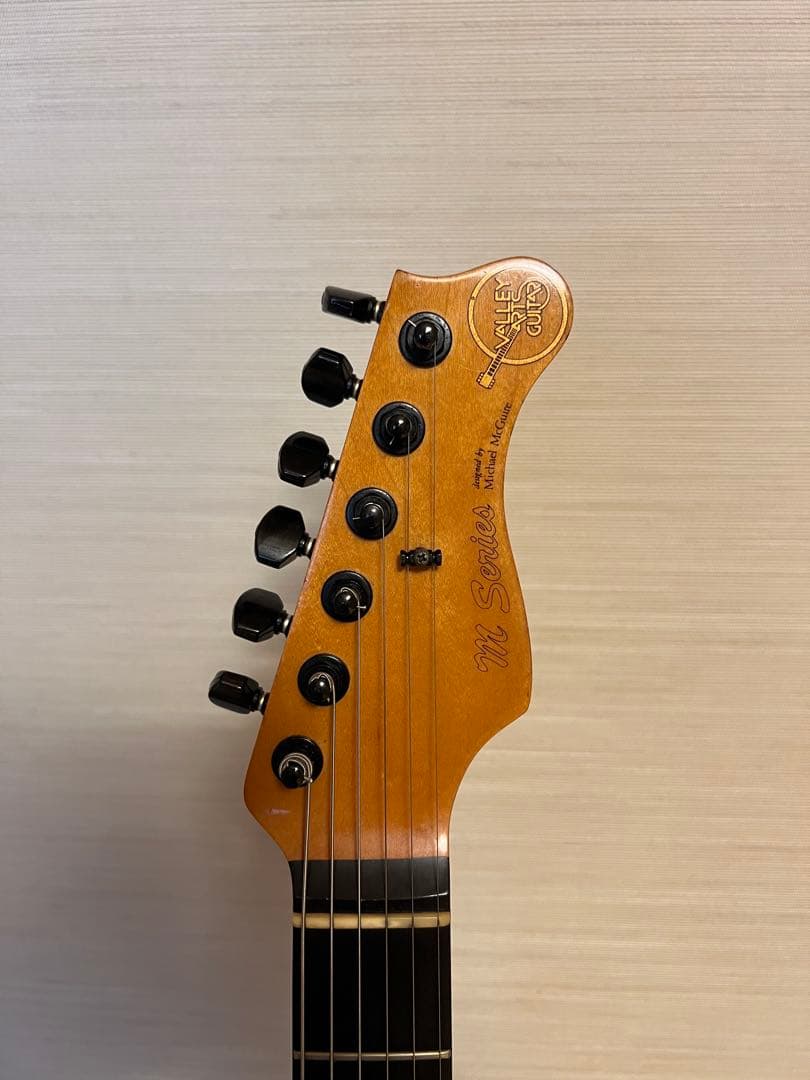 Valley Arts M Series ナチュラルカラー HSH