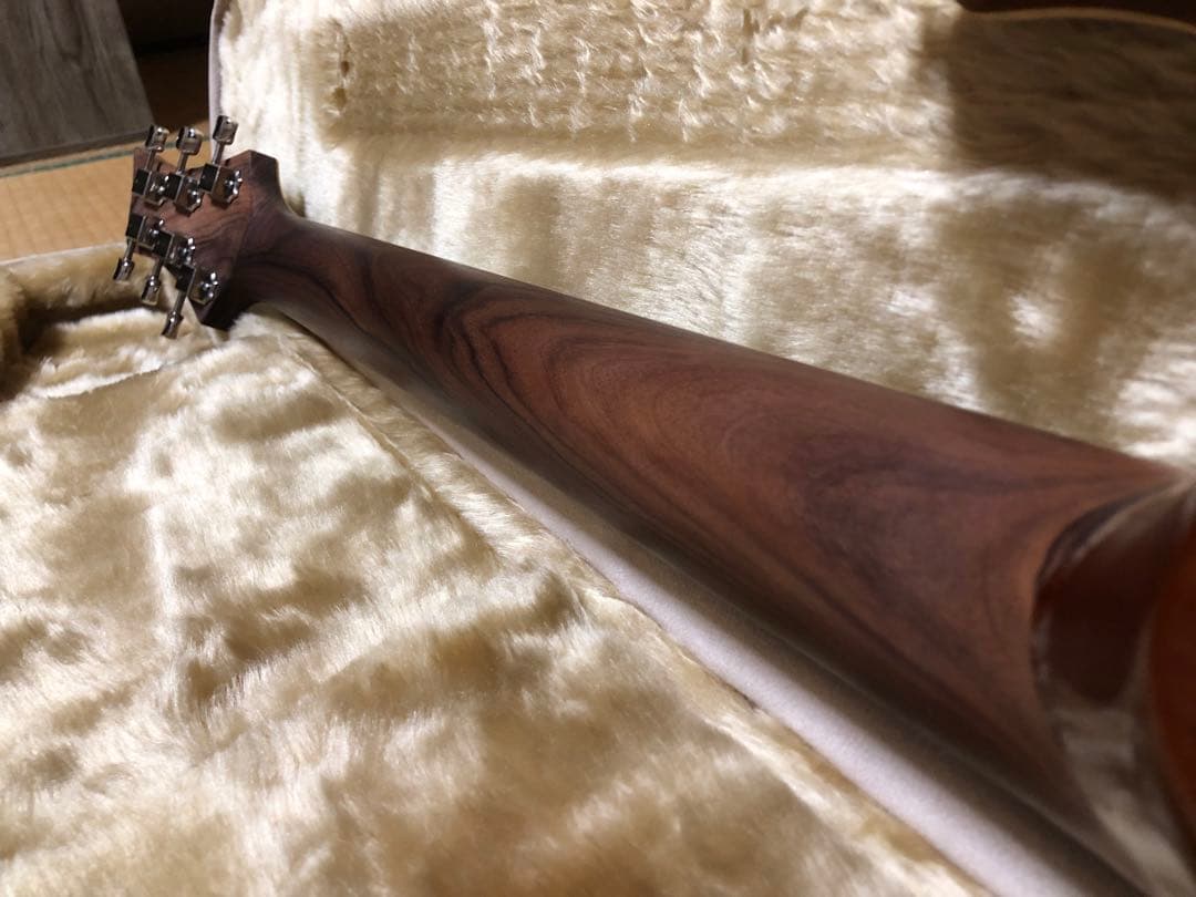 ギター Fibenare Roadmaster custom