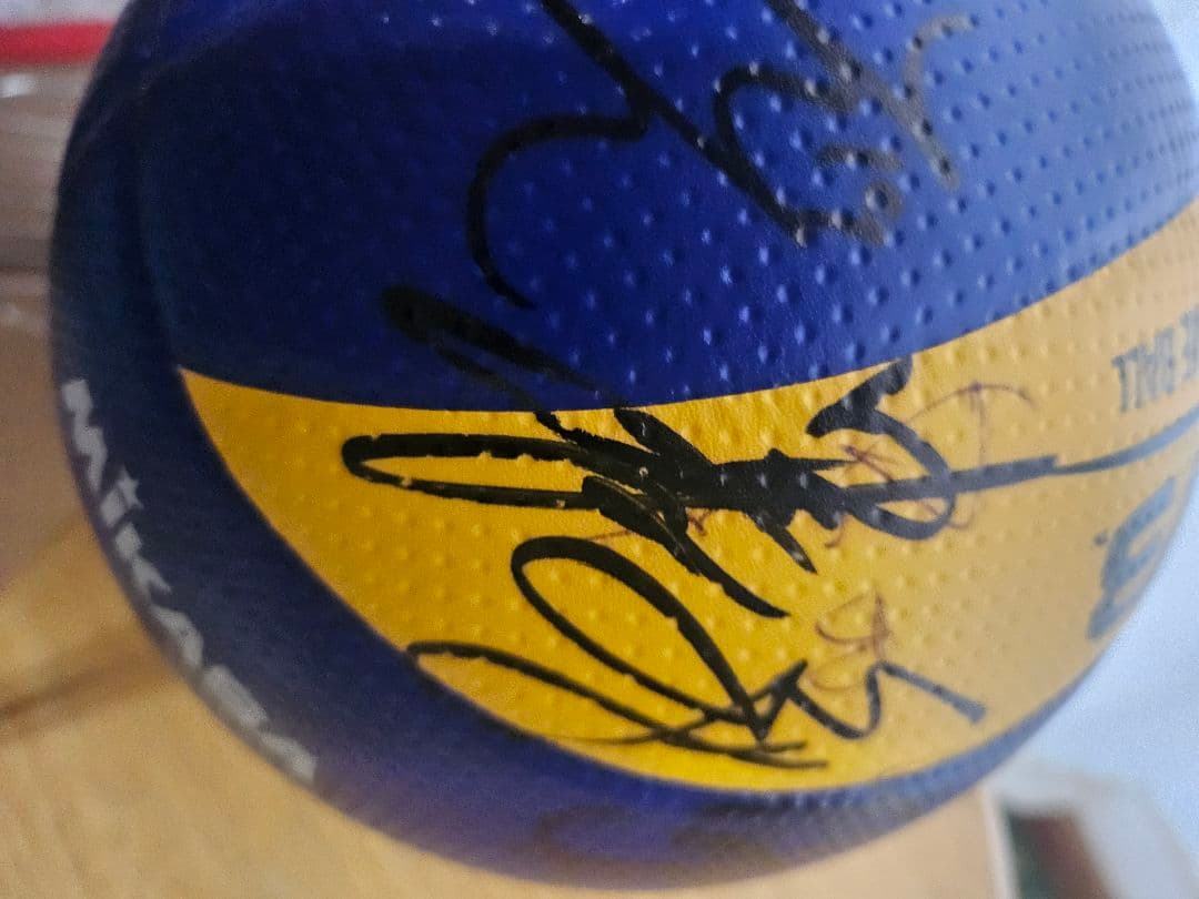 ミカサ FIVB公認 バレーボール 全日本選手サイン入り