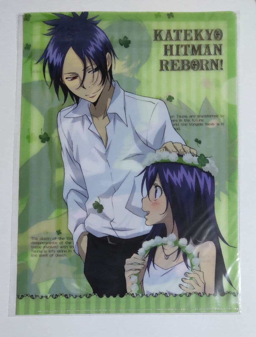 家庭教師ヒットマンREBORN クリアファイル クリアポストカード 12個セット