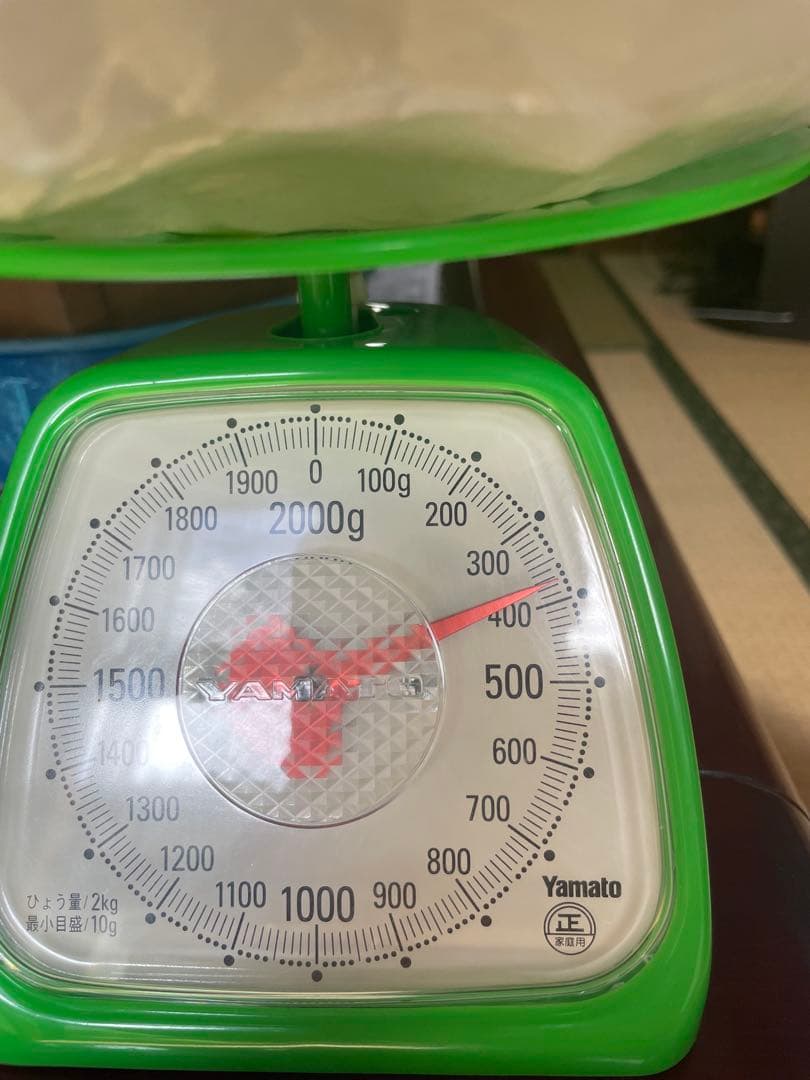 O*)様 マッコウクジラの歯　鯨歯　未加工370g