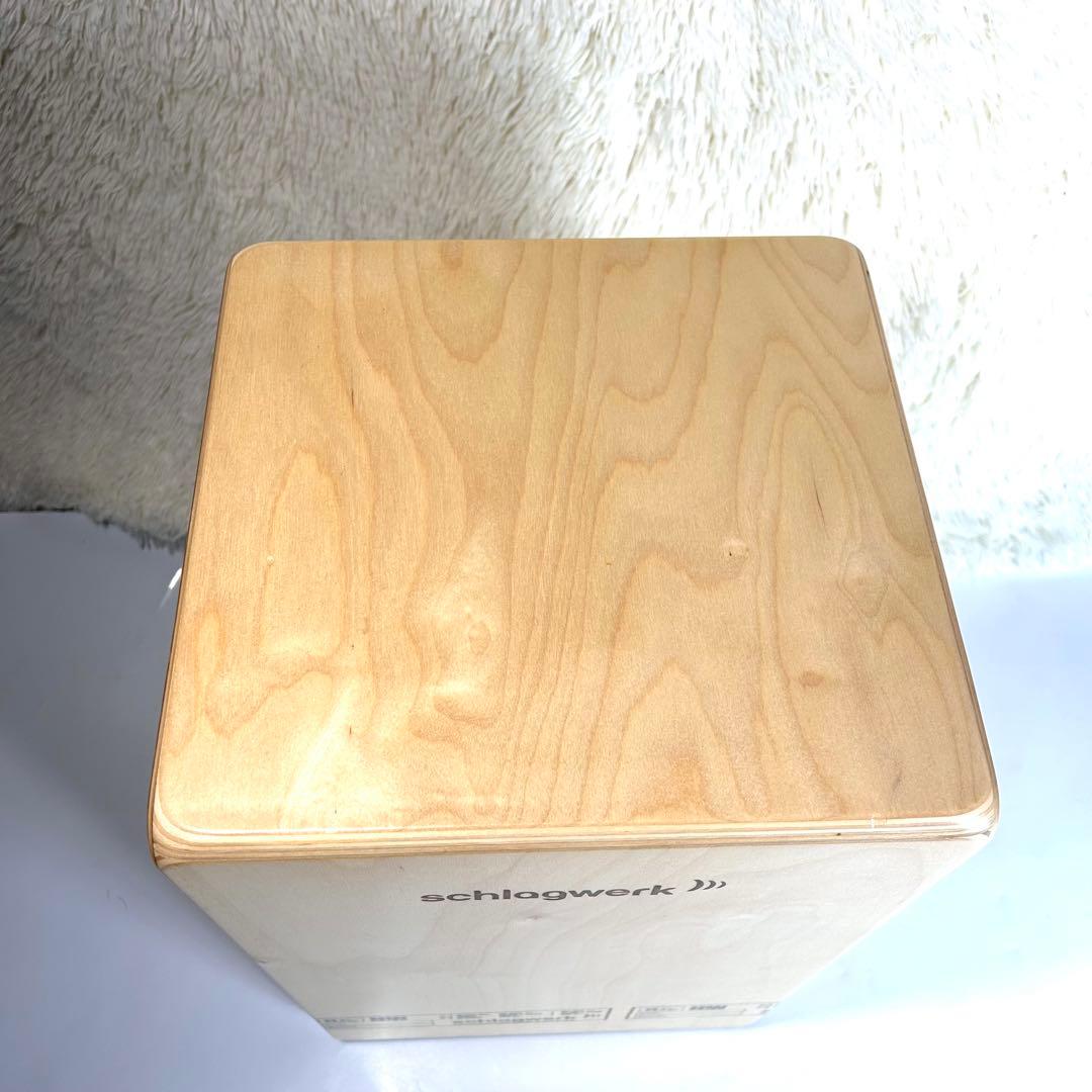 美品✨Schlagwerk　SR-CP404BLK　ソフトケース付き