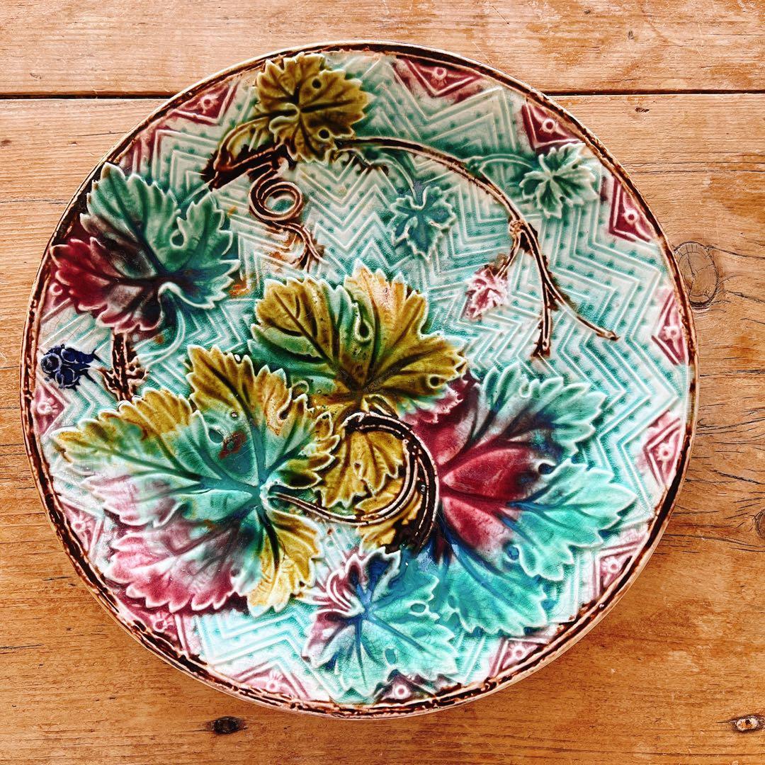 美しい葡萄の蔓のバルボティーヌ