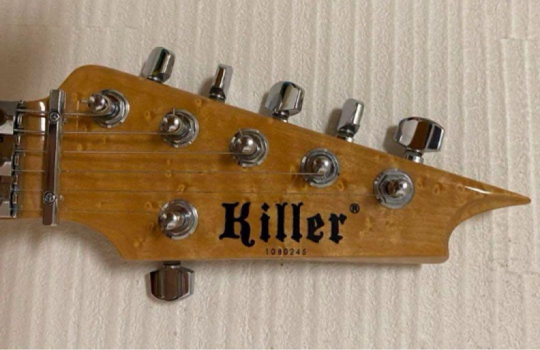 Killer KG-Fascist 初期　バーズアイ