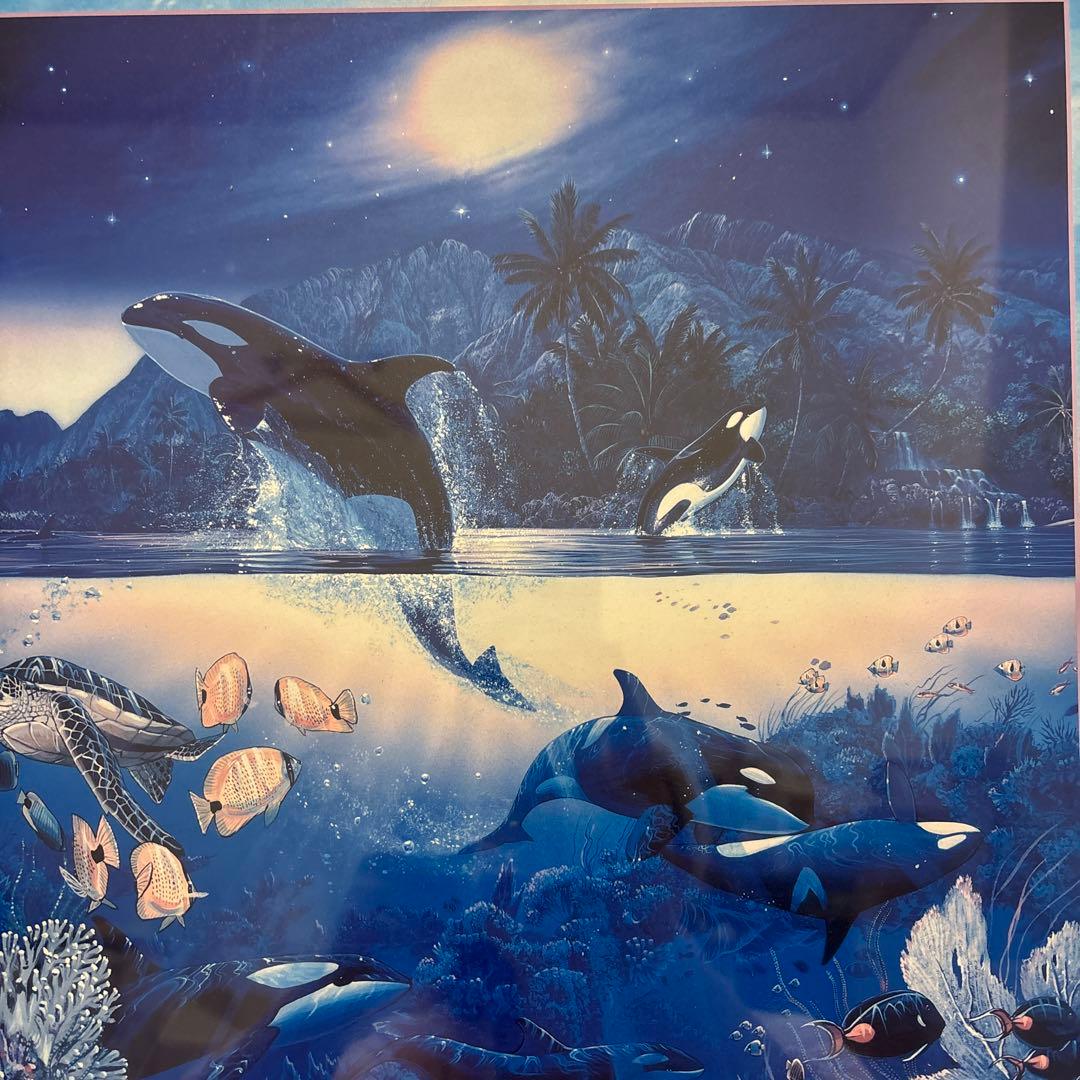 クリスチャン・リース・ラッセン　ハーモニー　額装　ポスター　イルカ　海　マウイ