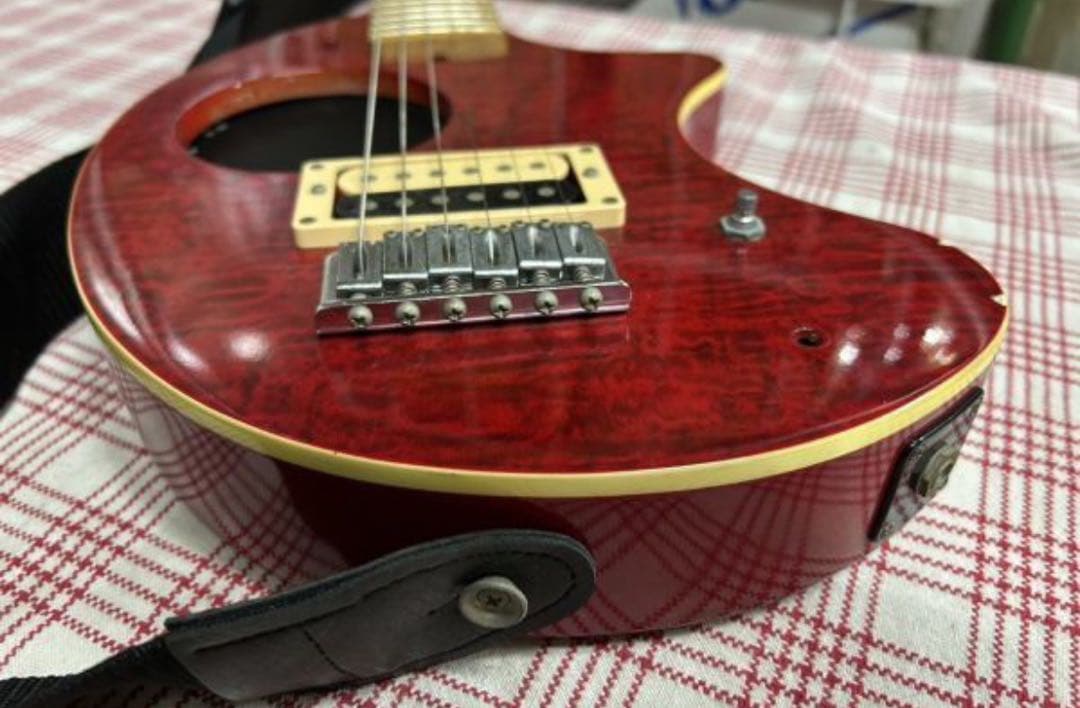 Fernandes フェルナンデス エレキギター ソフトケース付 ジャンク