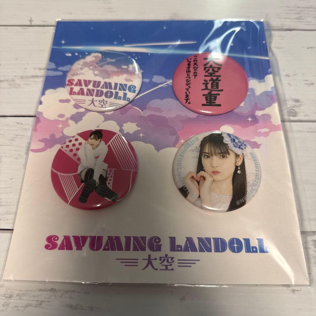 道重さゆみ ⑩ A5ワイド生写真 2023〜24年 11枚と缶バッチのセット