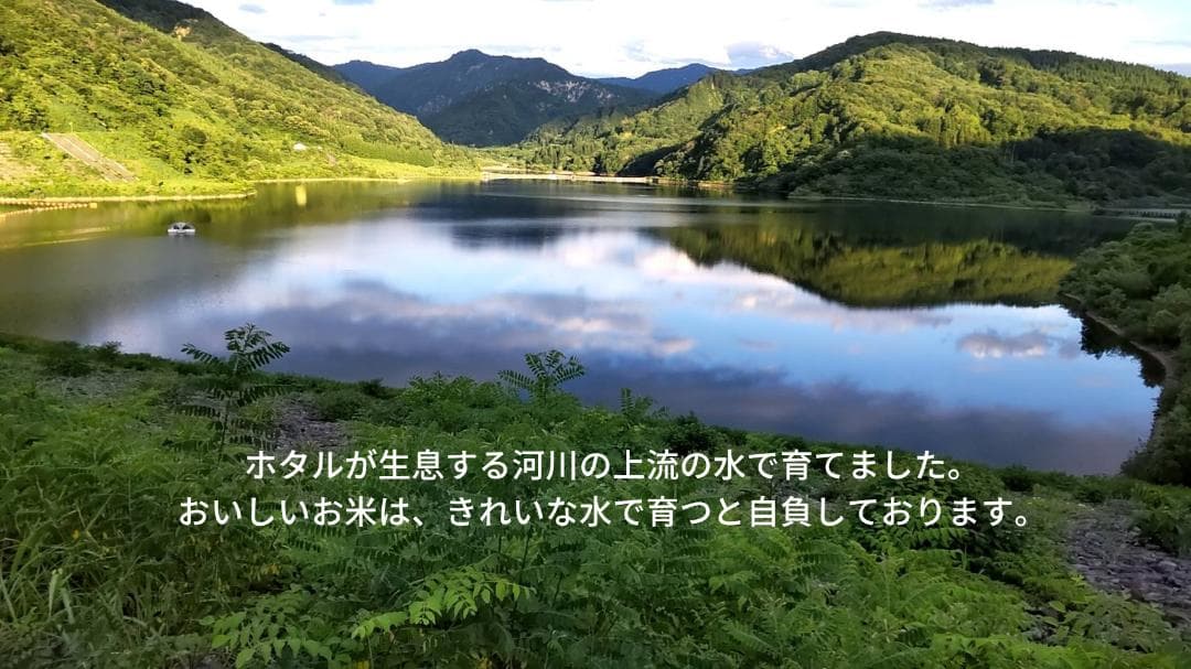 令和７年新潟産コシヒカリ　精米18Kg（玄米20Kg）