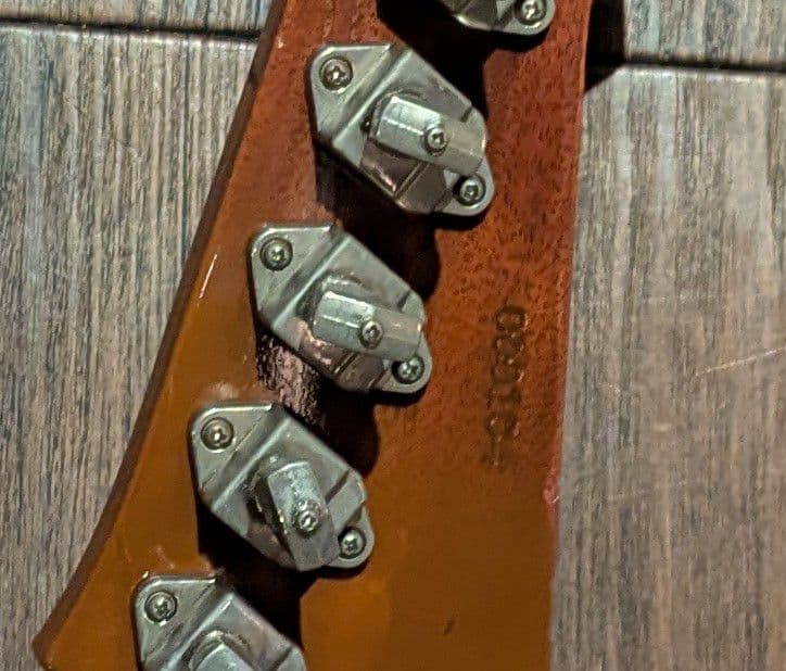 動画あり Gibson Custom Shop Firebird Ⅴ VOS