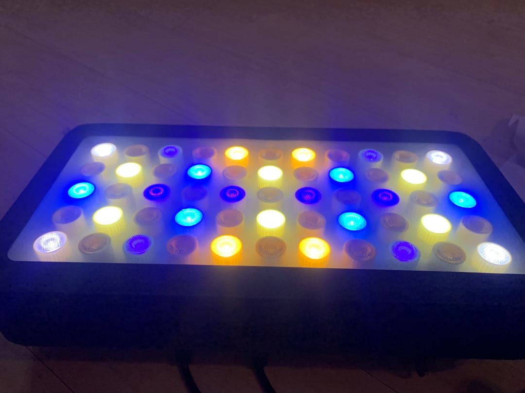 水槽　ライト　サンゴ飼育　ブラックボックス