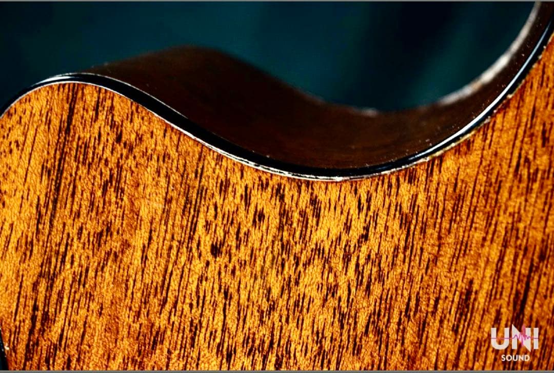 Martin GPC-18E 2016年製